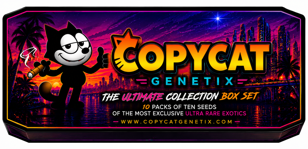 Legacy box sets series 1