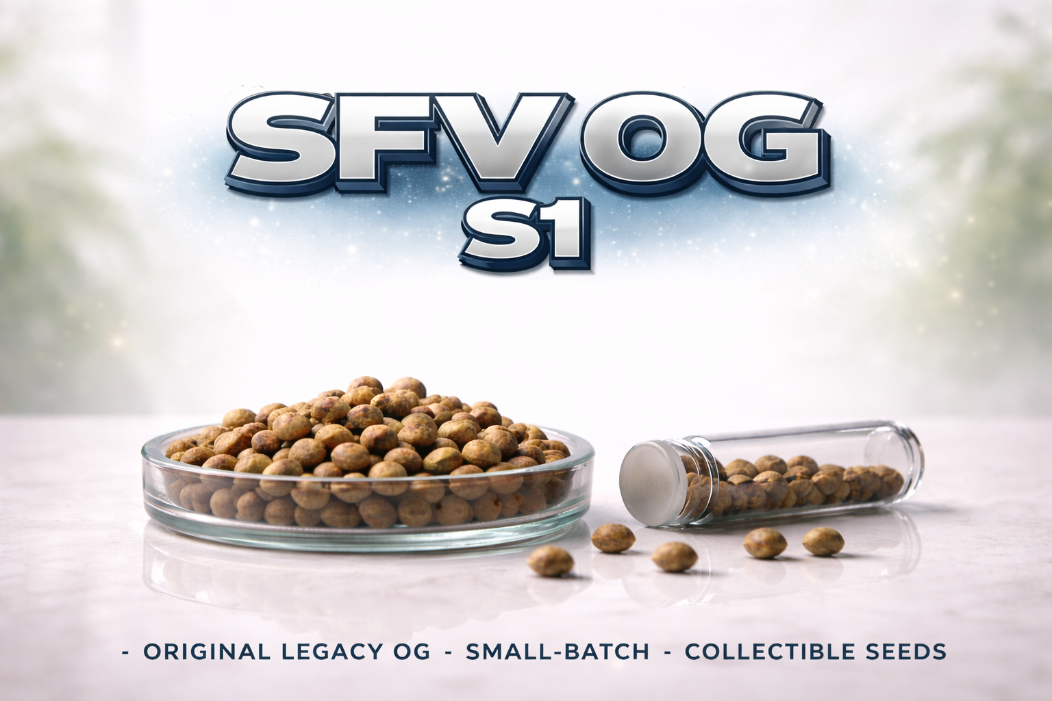 Legacy SFV OG