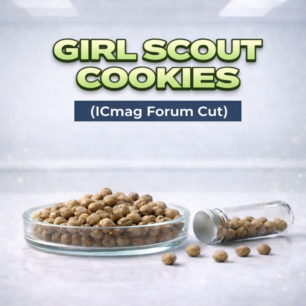 Girl Scout Cookies S1 ( Forum Cut)