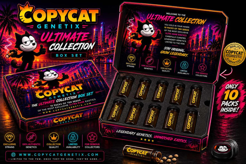 Legacy box sets series 1