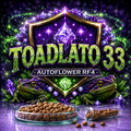 Toadlato 33 auto