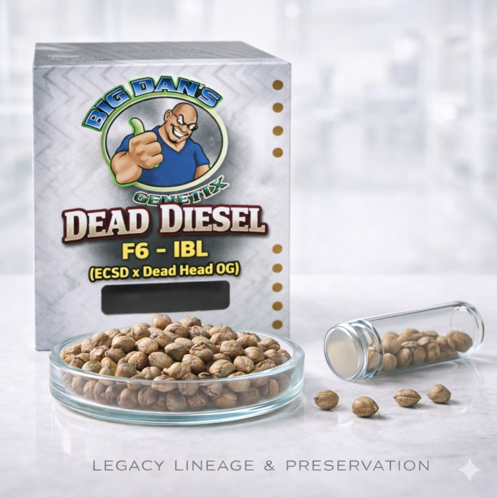 Dead Diesel F6 - IBL