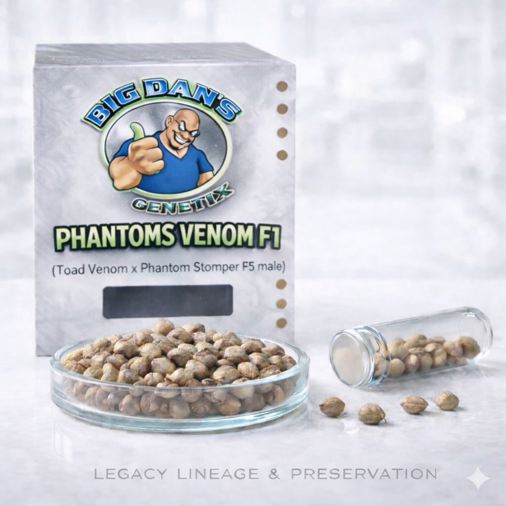 Phantoms Venom F1