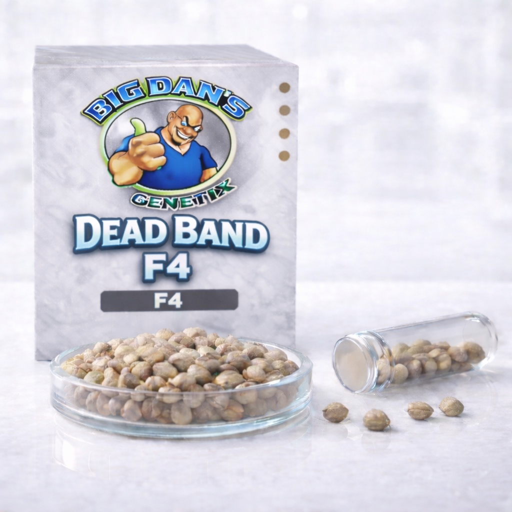 Dead Band  F4