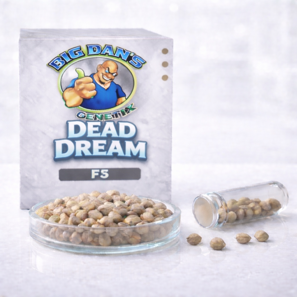 Dead Dream F5