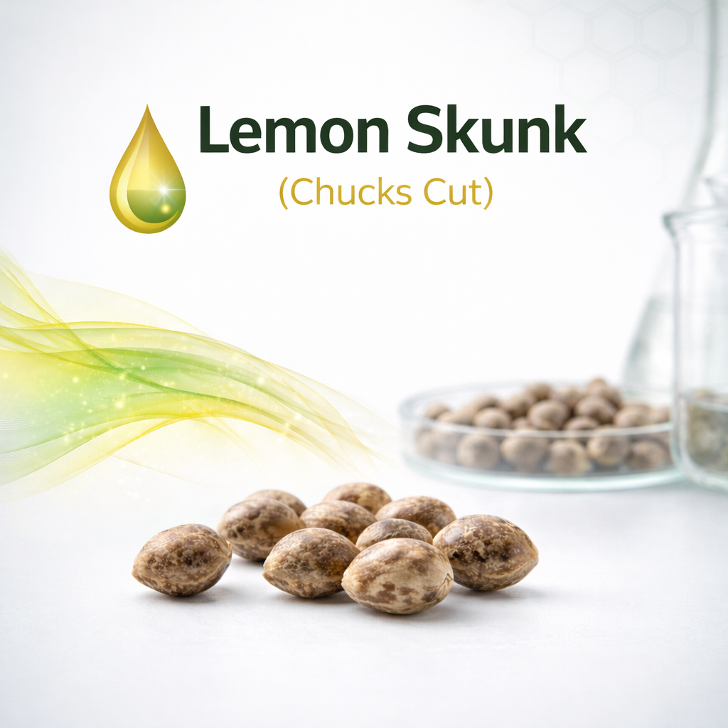 Lemon Skunk s1