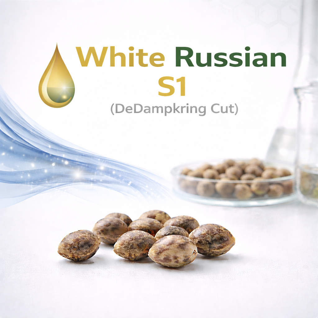 White Russian S1