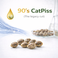 90’s CatPiss s1