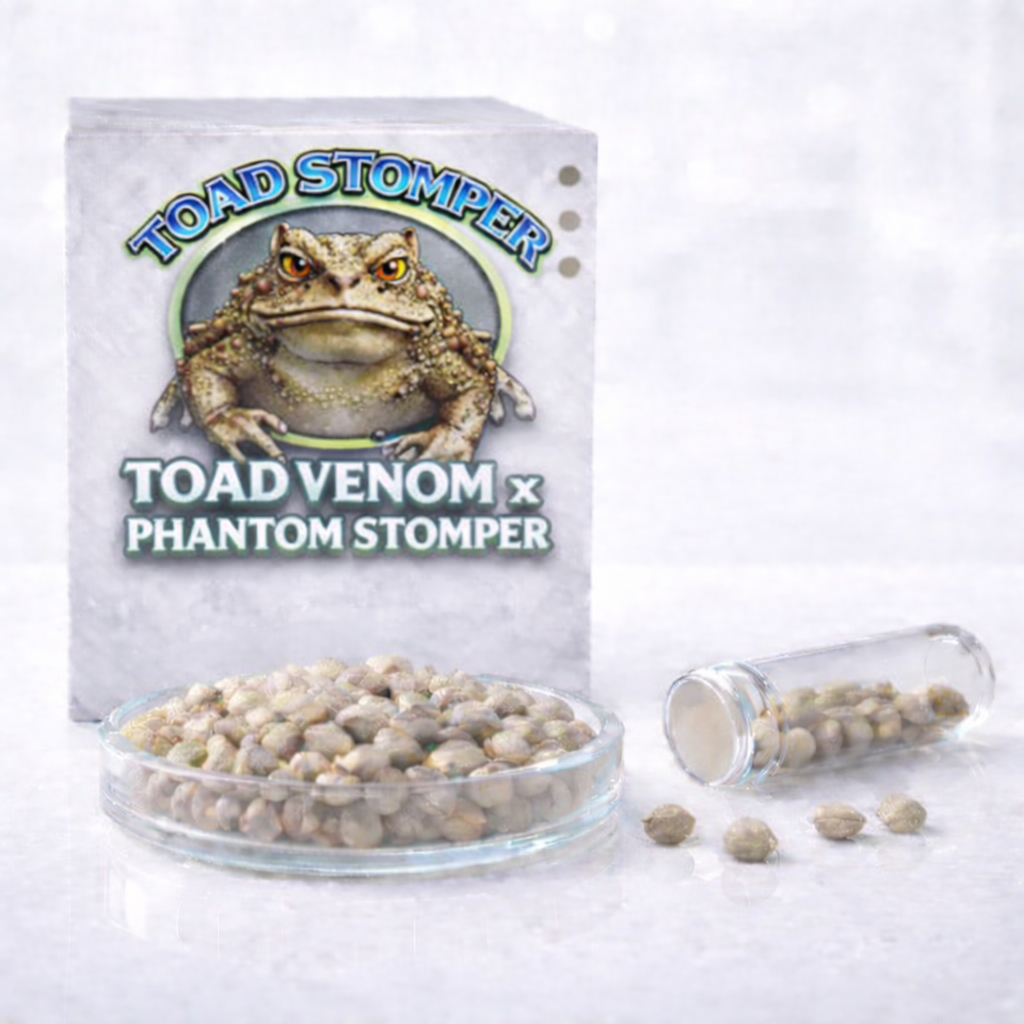Toad Stomper f1