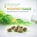 Modified Toadz S1
