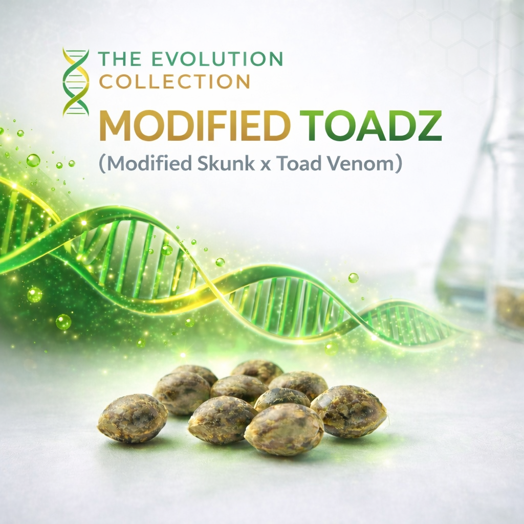 Modified Toadz S1