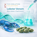 Lobster Venom S1