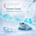 Frozen Toad