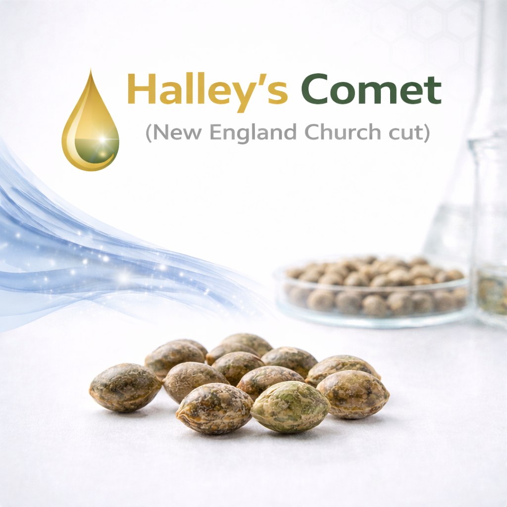 Halley’s Comet S1