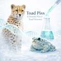 Toad Piss