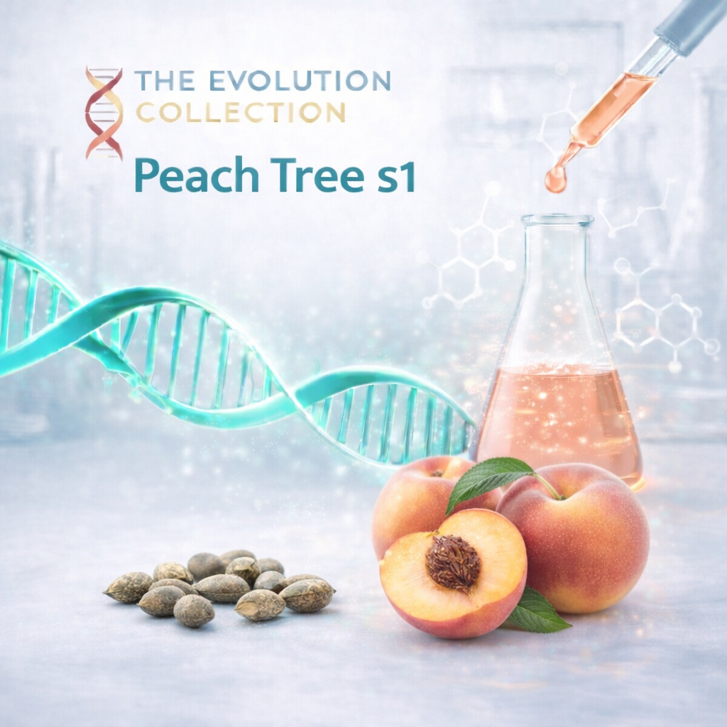Peach Tree S1