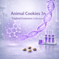 Animal Cookies 3n