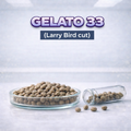 Gelato 33 s1