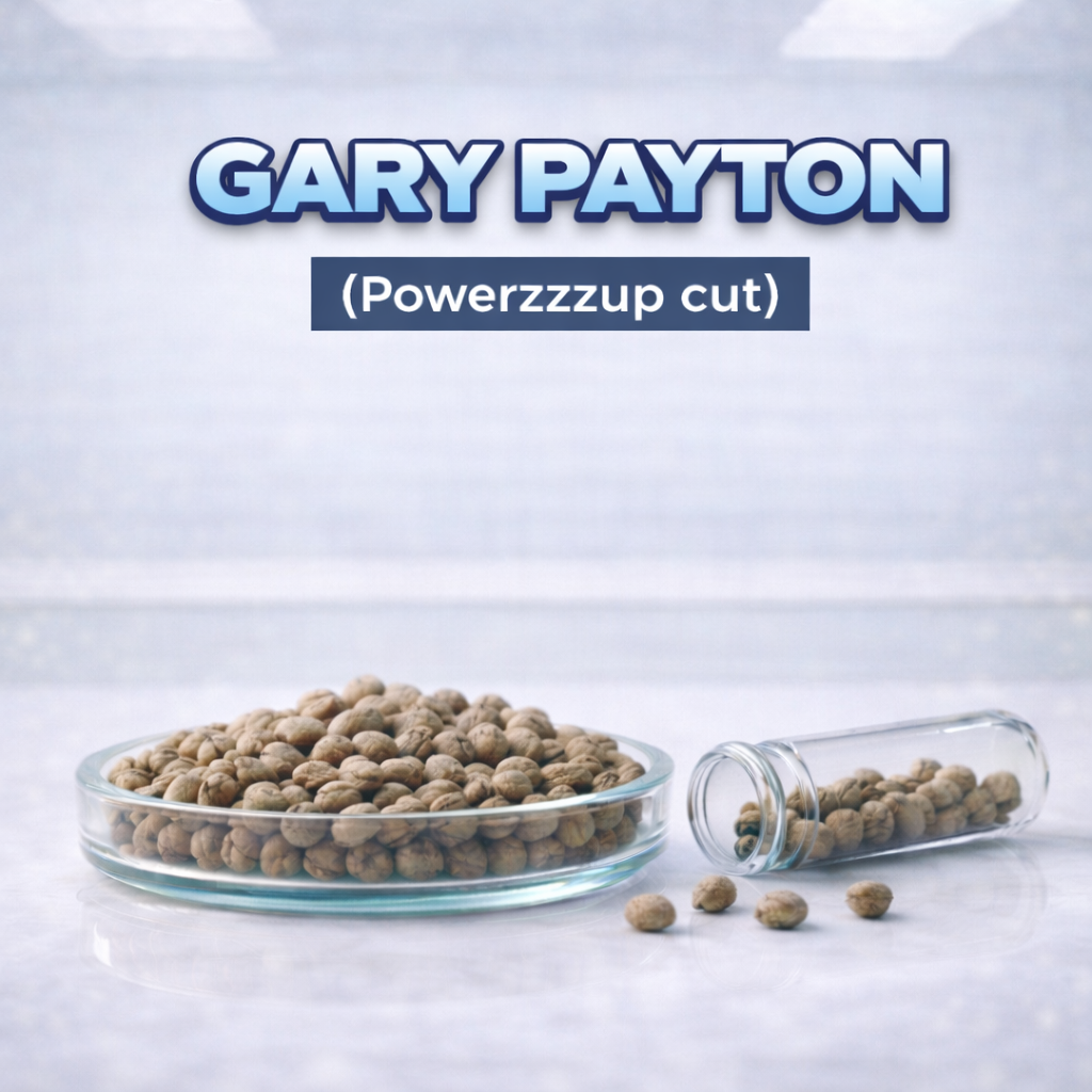 Gary Payton s1