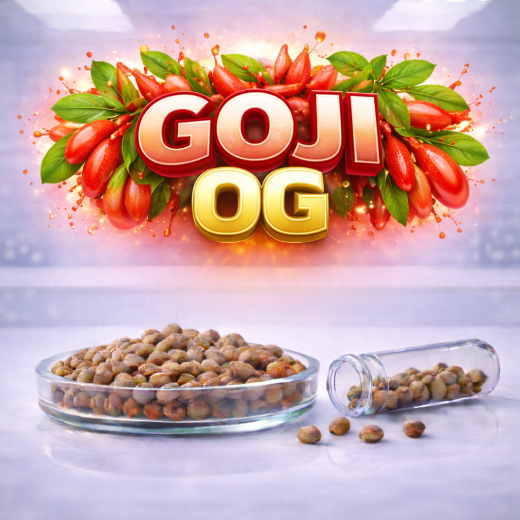Goji OG s1
