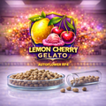 Lemon Cherry Gelato RF4
