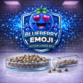 Blueberry emoji rf4