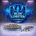 Blue lobster RF4