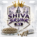 Shiva Skunk s1
