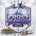 Frost banger RF4 autoflower