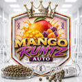 Mano Runtz Auto